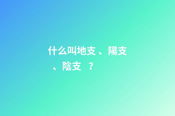 什么叫地支、陽支、陰支？